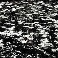 Назва. отсу. :: Денис Безногов