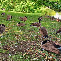 Тихий час :: Андрей K.