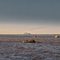 Про Питер :: Владимир Колесников