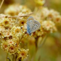 из снятого позавчера 3 :: Александр Прокудин