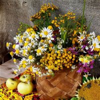 В августе! :: Нина Андронова