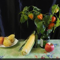 Натюрморт с физалисом :: Евгений Натюрморт с физалисом :: Евгений