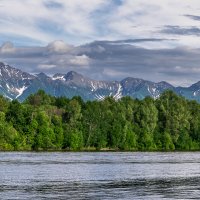 ... :: Жора Житников