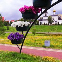 Июль...Цветочная композиция! :: Владимир 