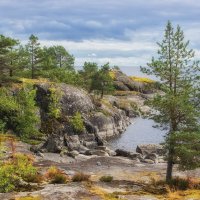 *** :: Сергей  Могутов 