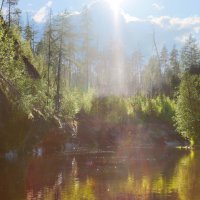 В лучах вечернего света... :: Галина Ильясова
