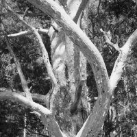 Назва. отсу. :: Денис Безногов Назва. отсу. :: Денис Безногов