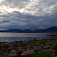 Хмурое лето Беломорья :: Ольга Хмурое лето Беломорья :: Ольга