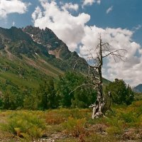 ДОЛИНА ОЙГАИНГА. :: Виктор Осипчук