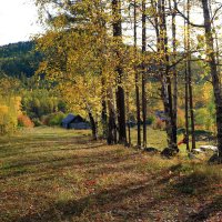 На околице :: Мишель71 На околице :: Мишель71