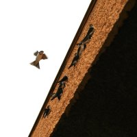 Ранее утро :: Аркадий Басович