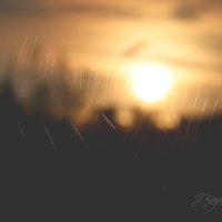 *** :: Елена Kазак (selena1965)