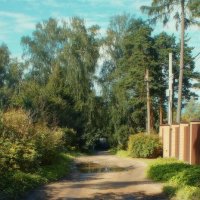 Загорянка :: Леонид leo Загорянка :: Леонид leo