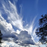 Классный день :: Андрей 