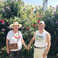 На наші дачі :: Степан Карачко