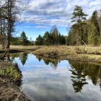 Наше ;-) :: Алексей Пышненко