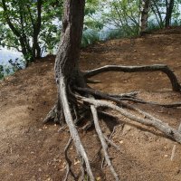 *** :: zavitok * *** :: zavitok *