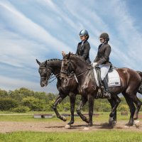 Выездка :: SanSan 