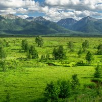 ... :: Жора Житников