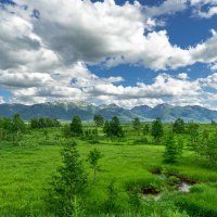 ... :: Жора Житников