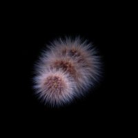 Многослойная экспозиция :: Любимова Ольга 