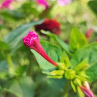 ,,, :: Сергей Тимоновский ,,, :: Сергей Тимоновский