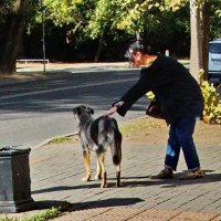 Ничей... :: Николай Саржанов