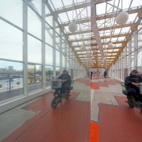 Курьеры :: Михаил Бибичков