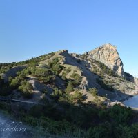 Природа Крыма :: Amazing Cosmea