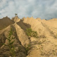 Похоже на бархан :: Наталья Лунева 