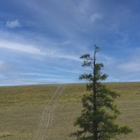 Алтай-дорога в небо :: Дмитрий Пудовик