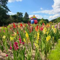 Минск. В Ботаническом саду :: Ирэн 