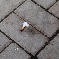 Падший ангел :: Maria Rainer