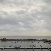 Вид на бухту Финского залива :: Alexandra Sakharova