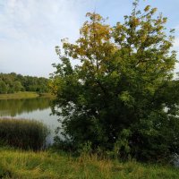 Лета совсем на донышке :: Андрей Лукьянов