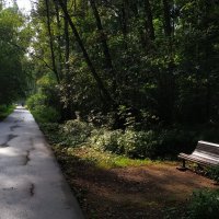 Лета совсем на донышке :: Андрей Лукьянов