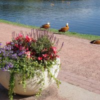 Лето в парке Царицыно :: Ольга 