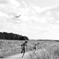 Змей с ветром :: Светлана Былинович