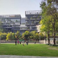 Таиланд,  Бангкок. Автор  Саша,  2023 г. :: Фотогруппа Весна