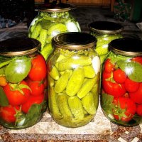 Готовимся к зиме :: Людмила Смородинская