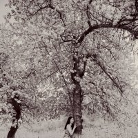 Слушать и обнимать :: Алексей Хвастунов