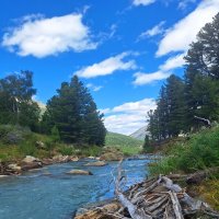 Алтай :: Андрей Л. В.