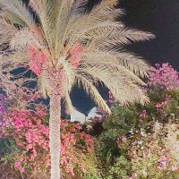 13  ОПЕН (262) :: OPEN WAYS ALL