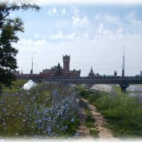 Летние деньки :: Alisia La DEMA