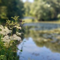 Последние дни лета. :: ИРЭН@ . Последние дни лета. :: ИРЭН@ .