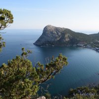 Природа Крыма :: Amazing Cosmea