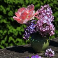 Уходящий майский день .. ... :: Татьян@ Ивановна Уходящий майский день .. ... :: Татьян@ Ивановна