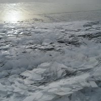 Ледостав на ленской протоке :: Anna Ivanova
