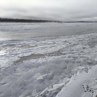 Ледостав на ленской протоке :: Anna Ivanova