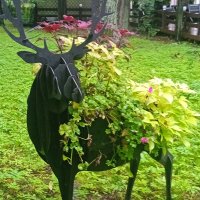 Декорация "Олень" в парке Елагина острова.( Санкт-Петербург) :: Светлана Калмыкова Калмыкова